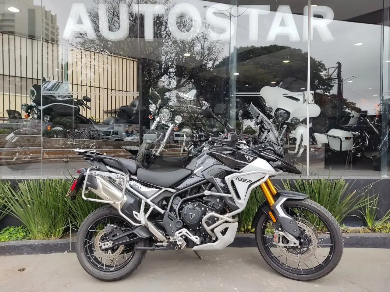 galeria Tiger 900