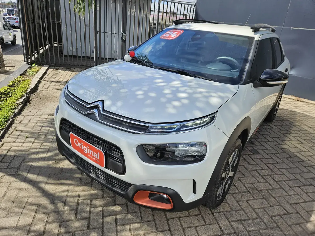 galeria C4 Cactus