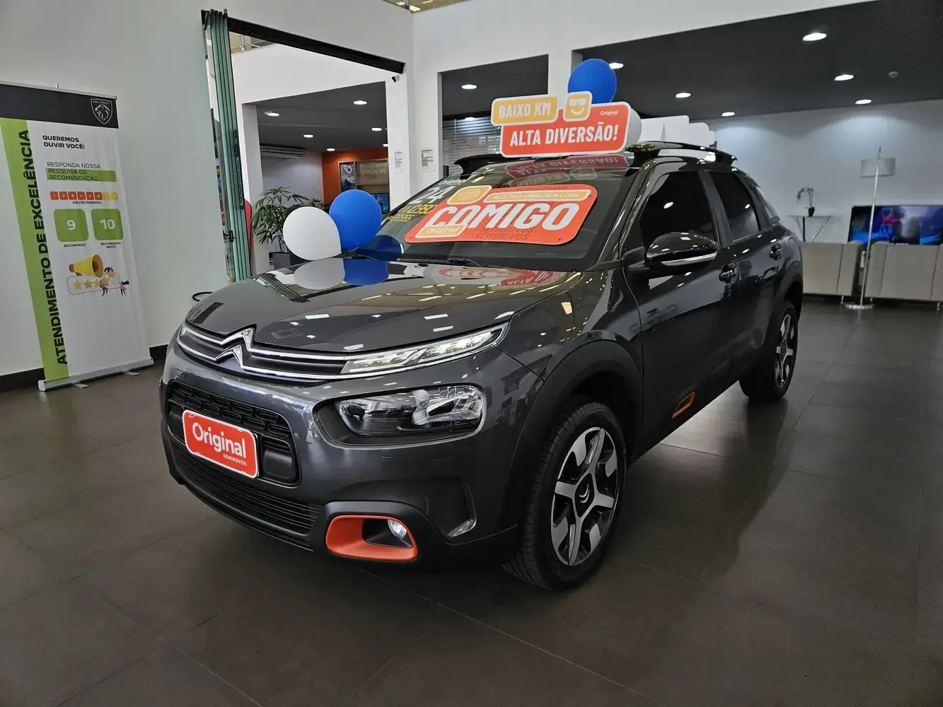 galeria C4 Cactus