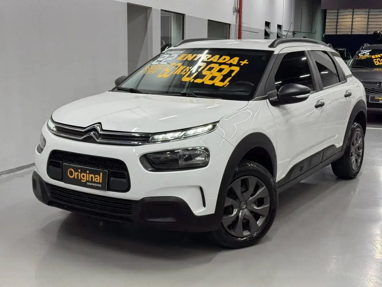 galeria C4 Cactus