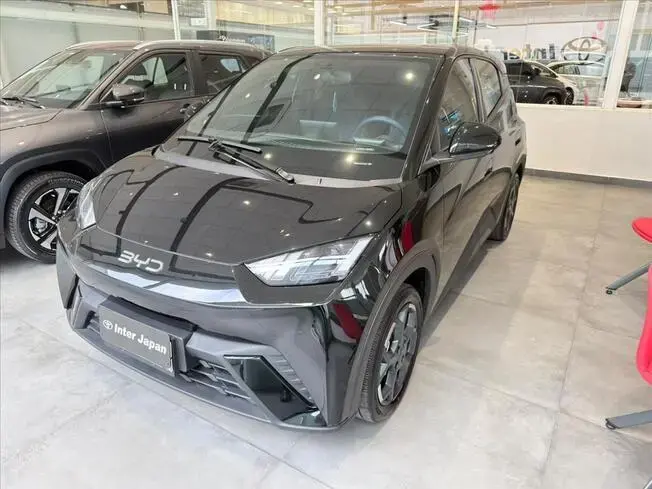 Byd DOLPHIN MINI 38 KW ELÉTRICO GS