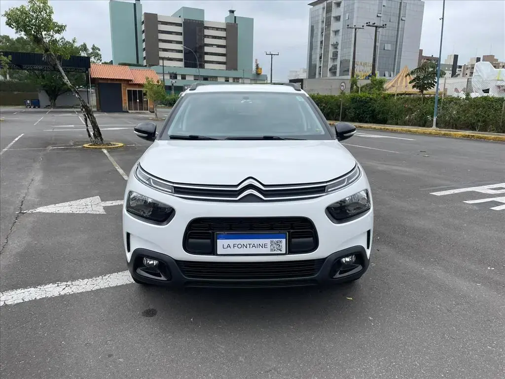 galeria C4 CACTUS