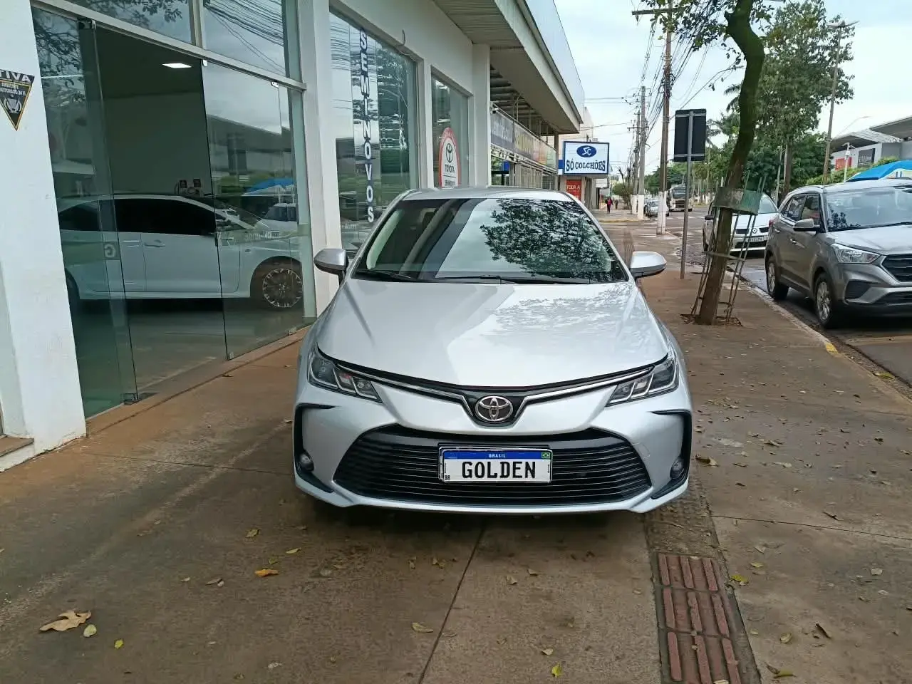 galeria COROLLA
