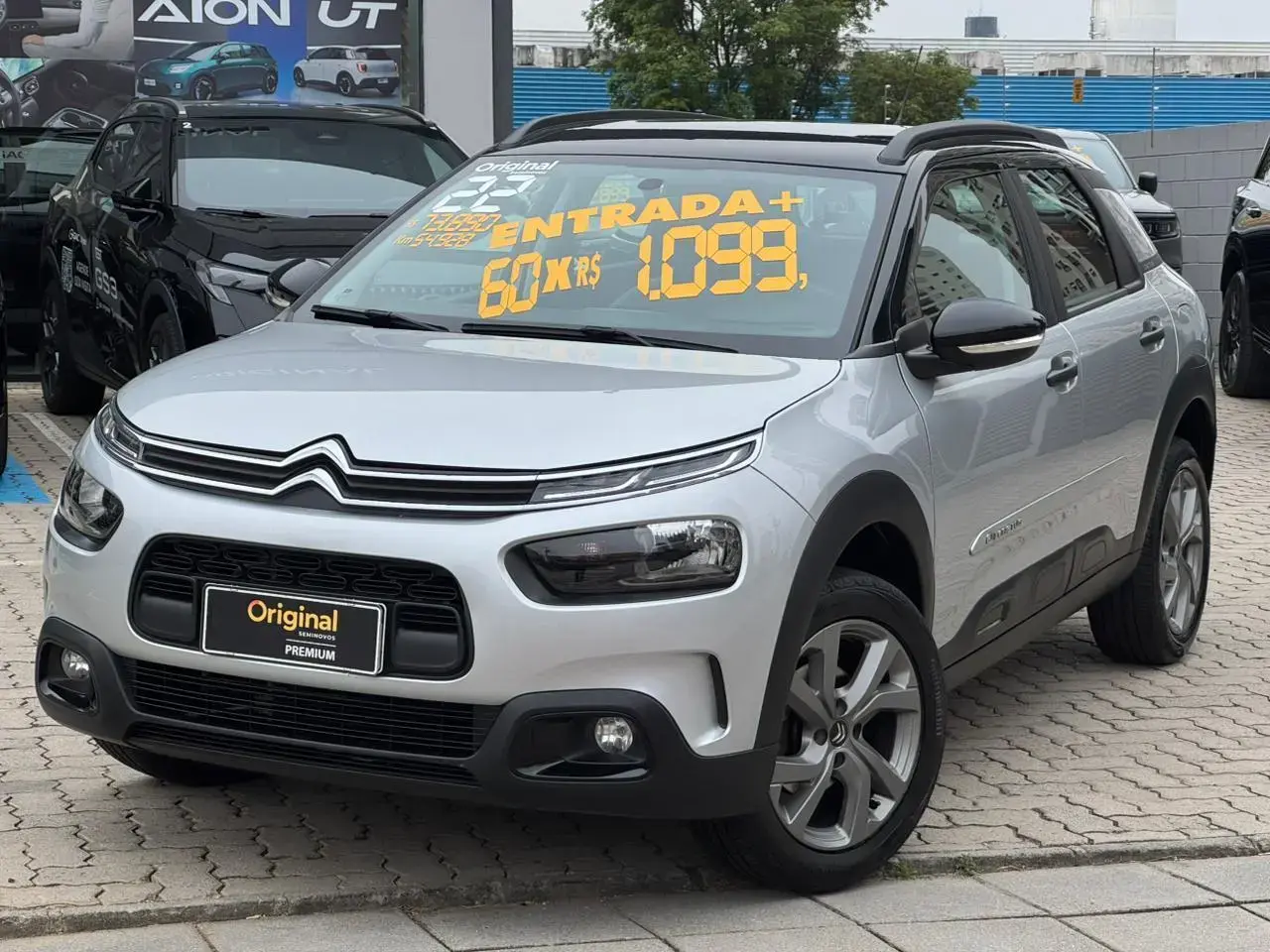 galeria C4 Cactus