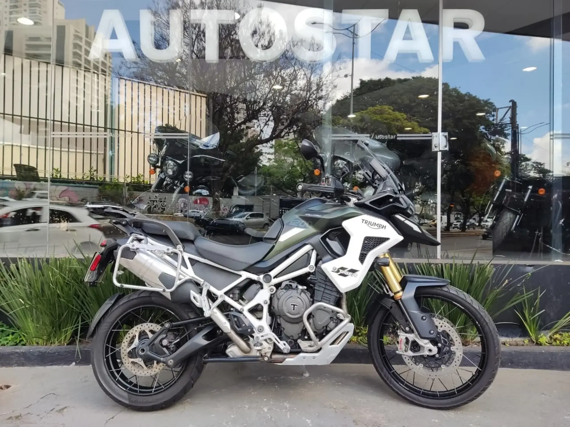 Tiger 1200 Rally Pro