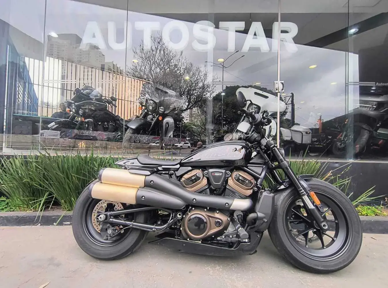 galeria Sportster