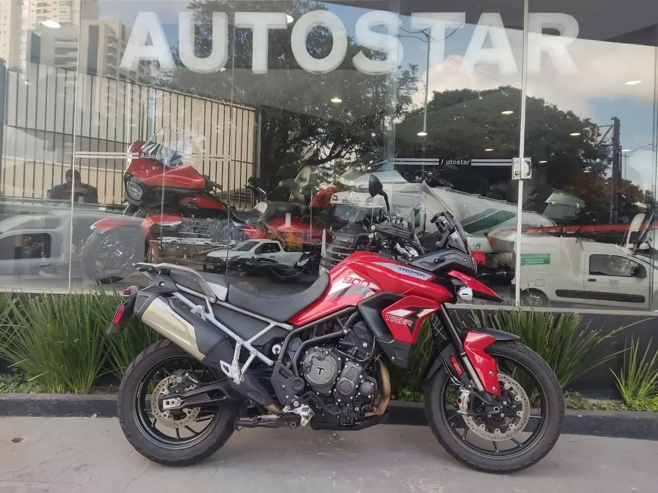 galeria Tiger 900