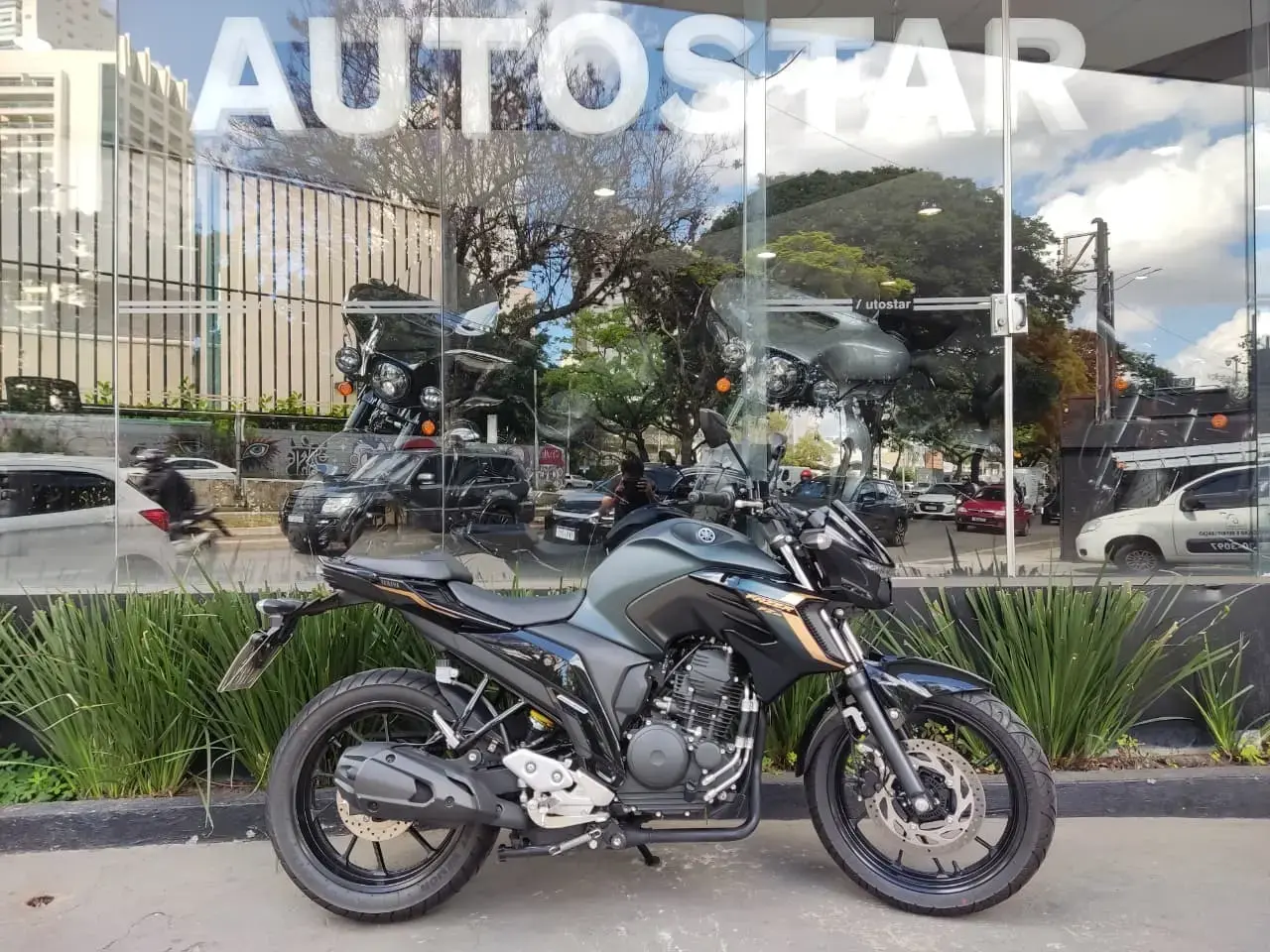 galeria Fazer FZ25