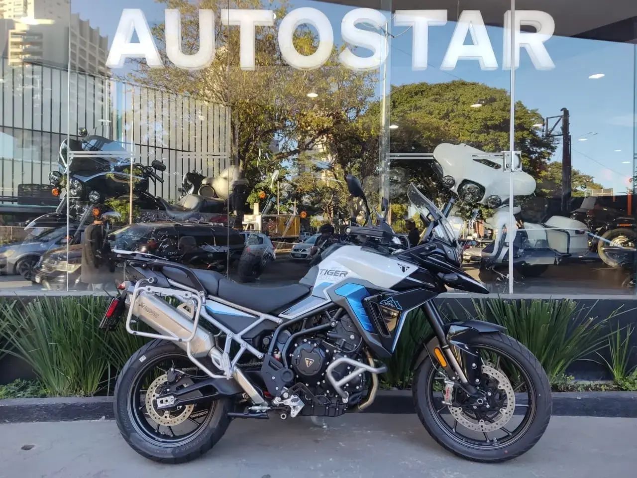 galeria Tiger 900