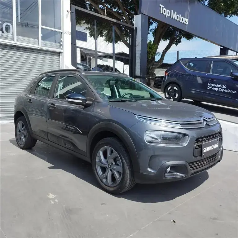 galeria C4 CACTUS