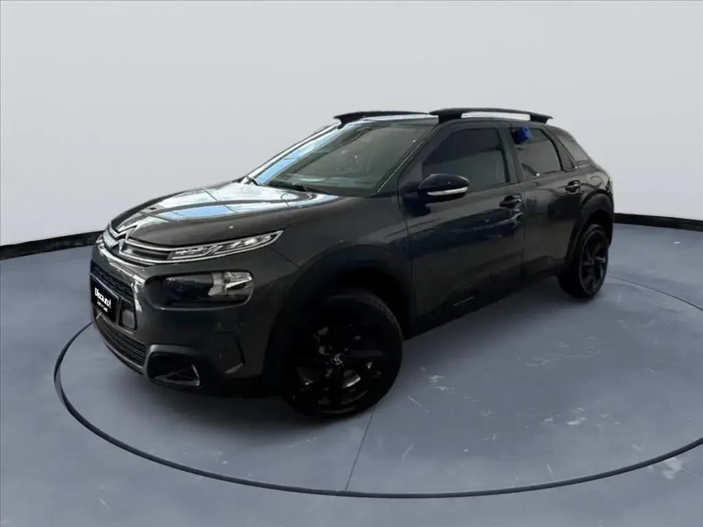 galeria C4 CACTUS