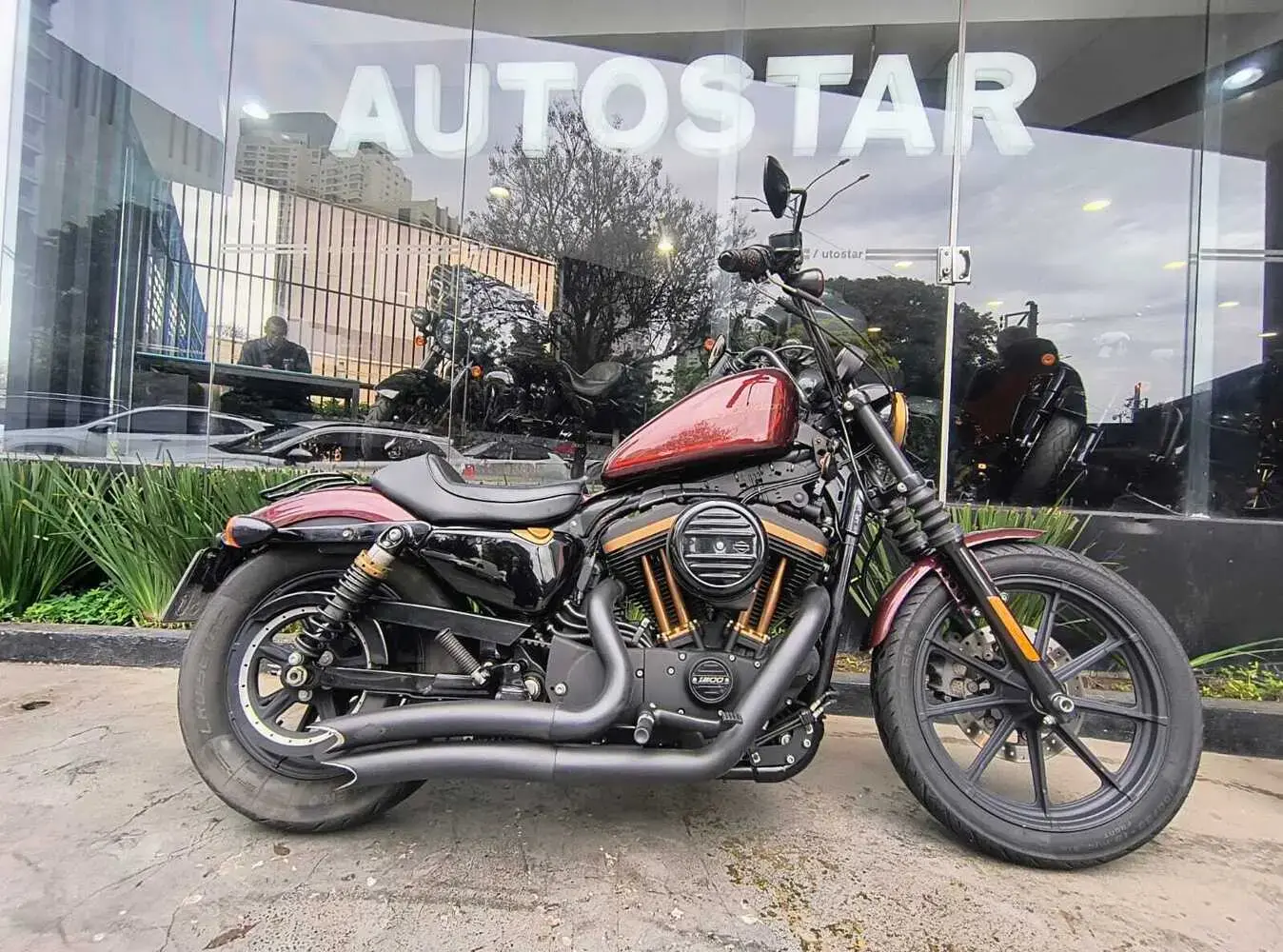 galeria Sportster 1200X