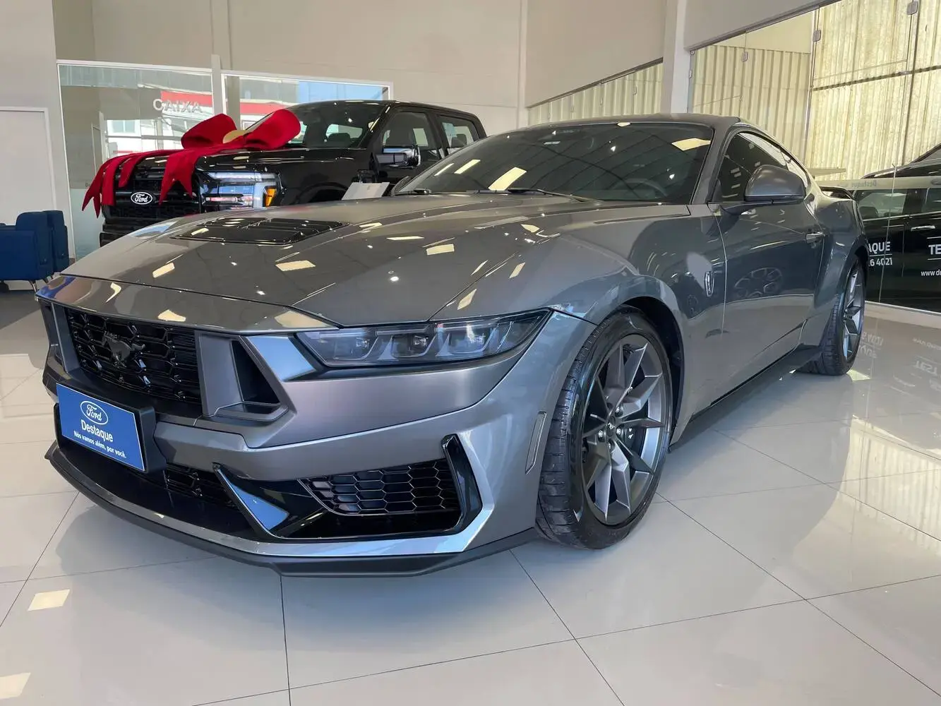 galeria MUSTANG