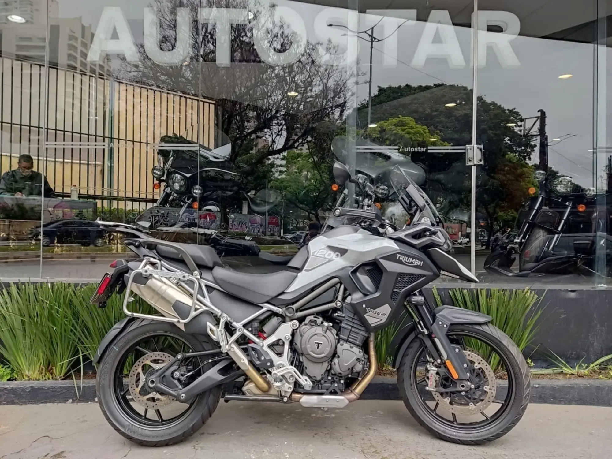 Tiger 1200 GT Pro