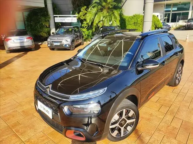 C4 CACTUS