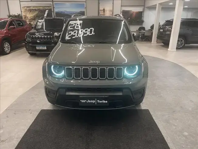 RENEGADE