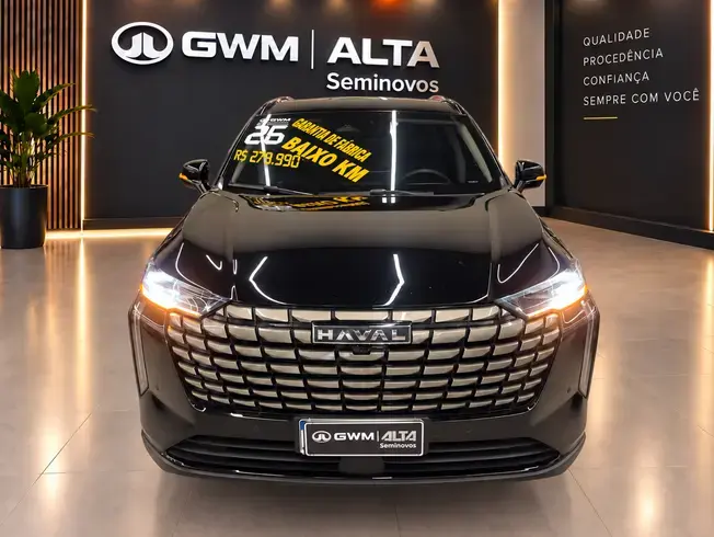 Haval H6 PHEV19