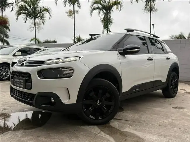 C4 CACTUS