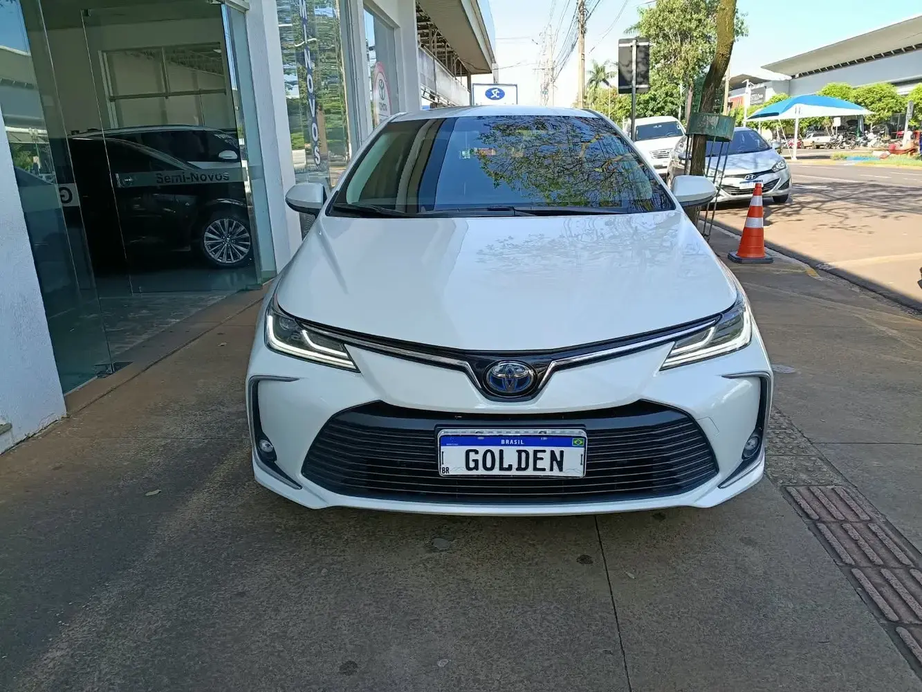 galeria COROLLA