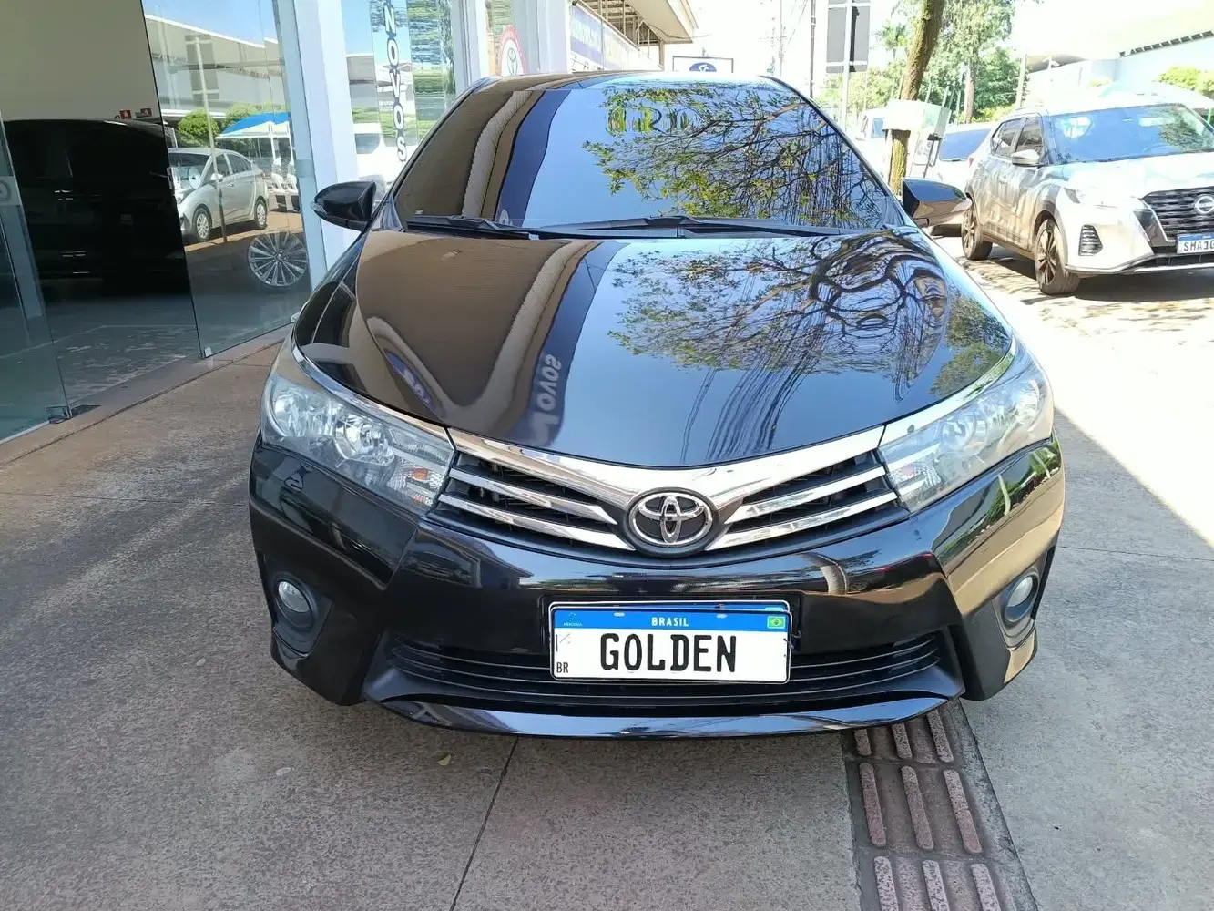 galeria COROLLA