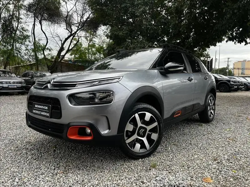 galeria C4 CACTUS