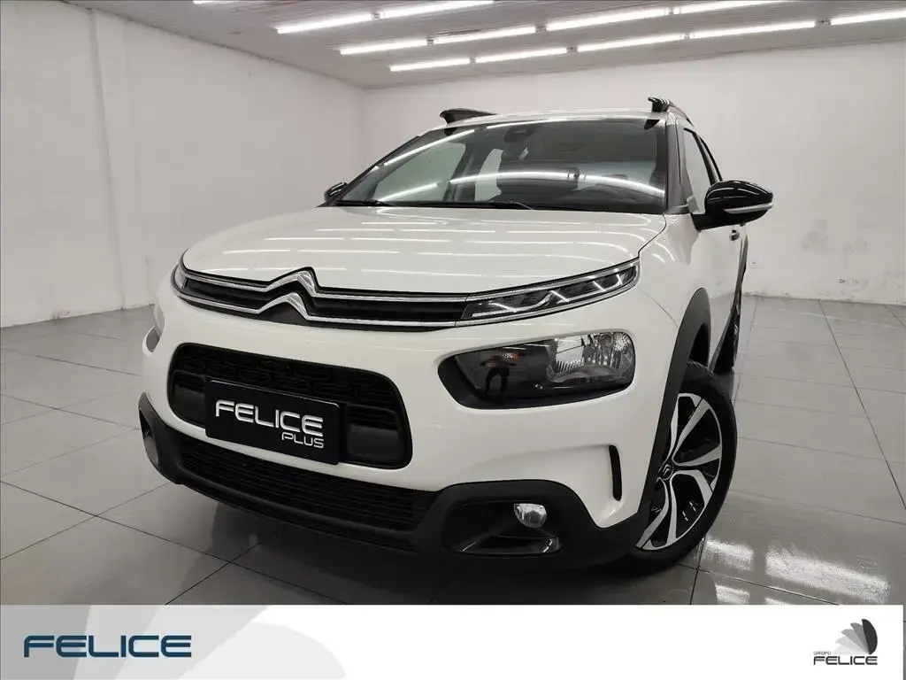 galeria C4 CACTUS