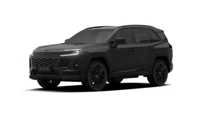 galeria RAV4 (NEW)