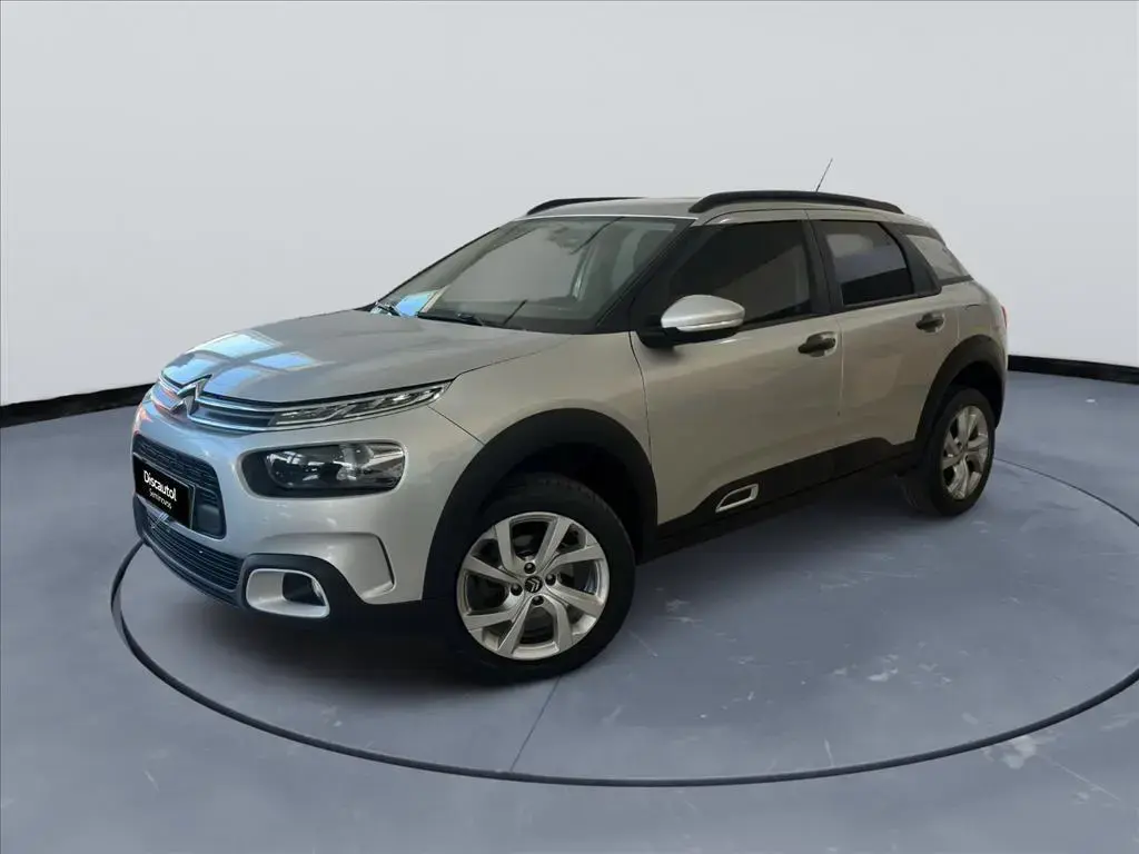 galeria C4 CACTUS