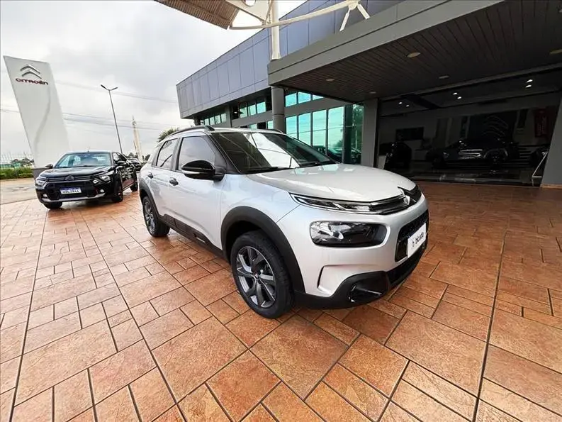 galeria C4 CACTUS