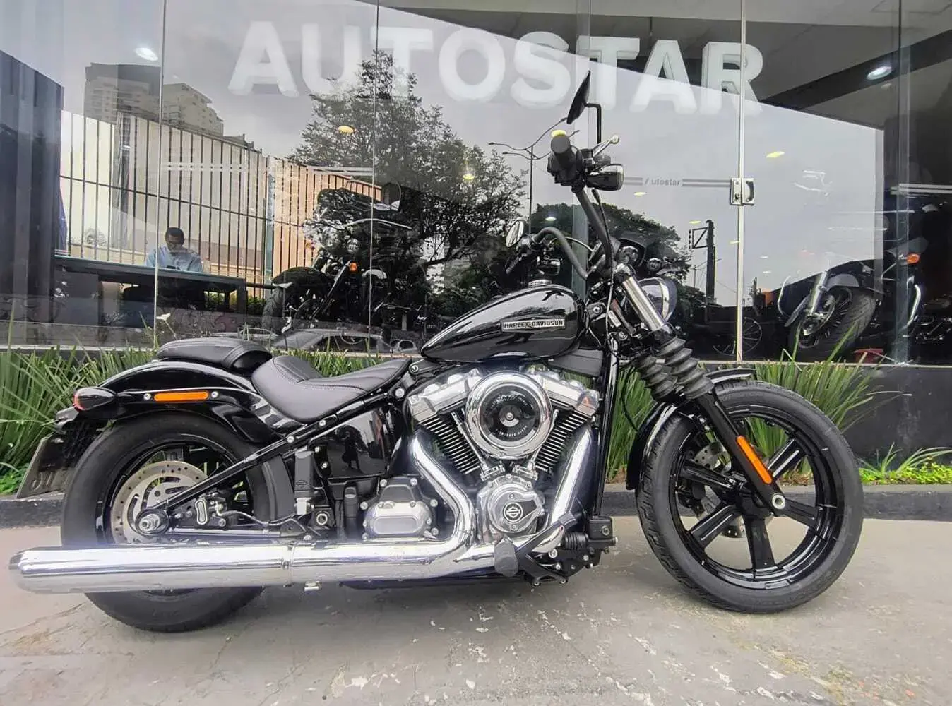 galeria Street Bob