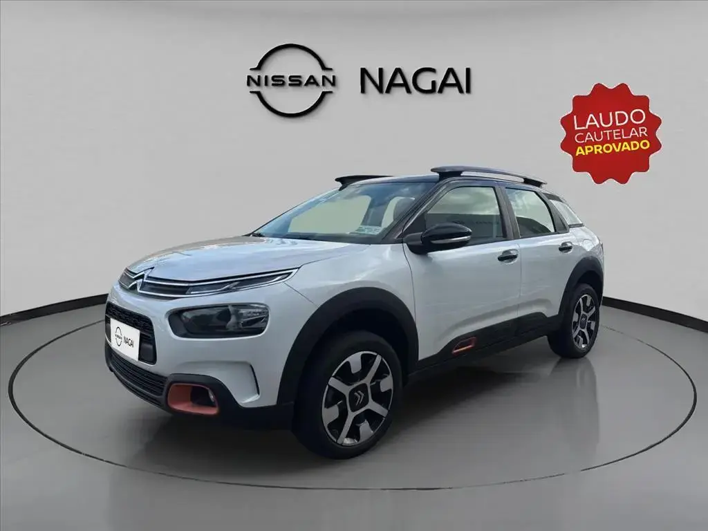 galeria C4 CACTUS