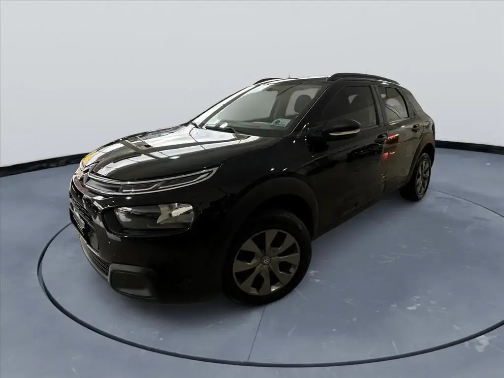 galeria C4 CACTUS