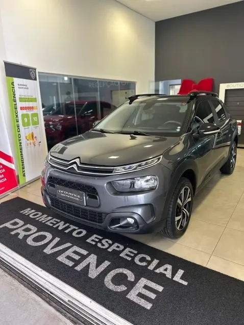 galeria C4 CACTUS