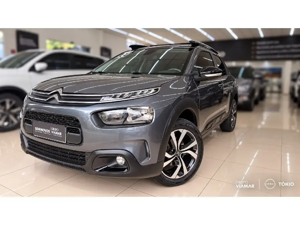 galeria C4 CACTUS