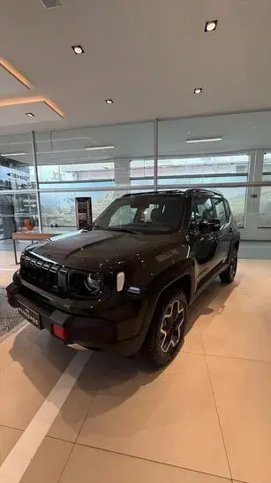 RENEGADE