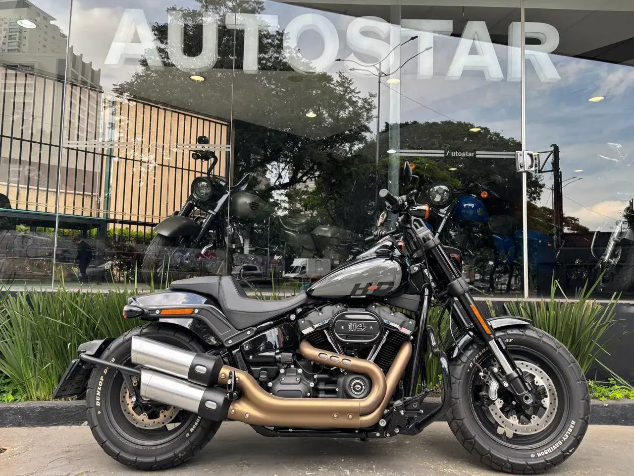 galeria FAT BOB FXFBS