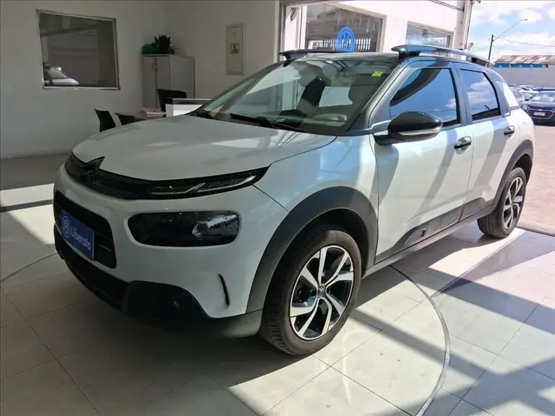 galeria C4 CACTUS