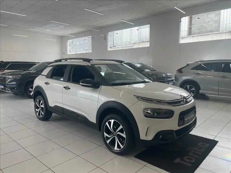 galeria C4 CACTUS