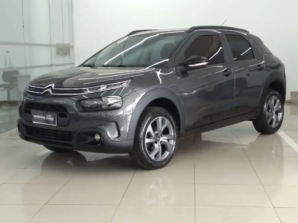galeria C4 CACTUS